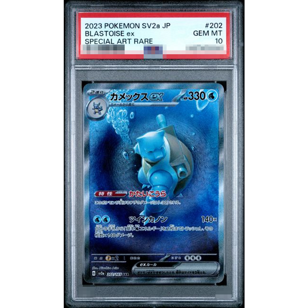 2019 Ptcg Proxy Graded Collect - Origami Paper Set ulasan dan harga