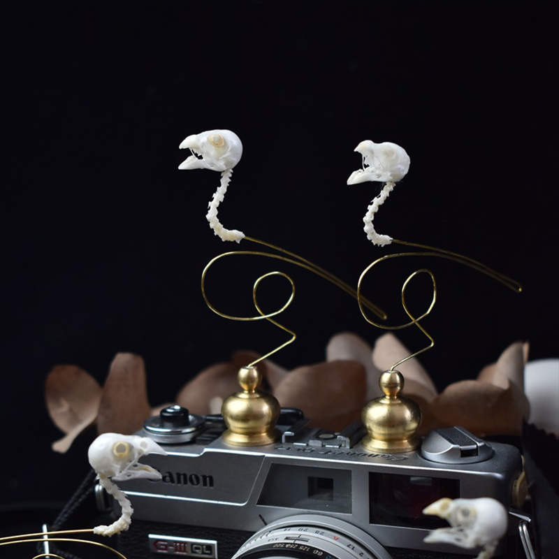 2111 Boutique Ethical Bird Sku - Art Craft Museum ulasan dan harga